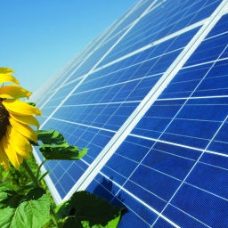 Rada Lowers Green Tariff By 15% For Solar Power Plants With Capacities Over 1 MW And 7.5% For Wind Power Plants From July