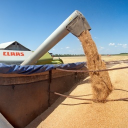 Economy Ministry Lowers Grain Harvest Forecast From 70 Million Tons To 68 Million Tons In 2020