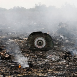 Russia Decides To Withdraw From Consultations With Netherlands And Australia On Downing Of Flight MH17 In Donbas