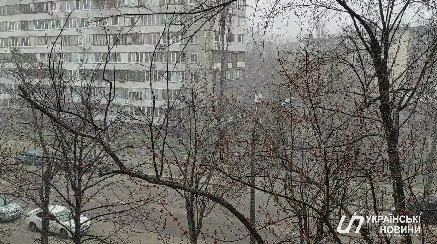 Снежная буря в Киеве