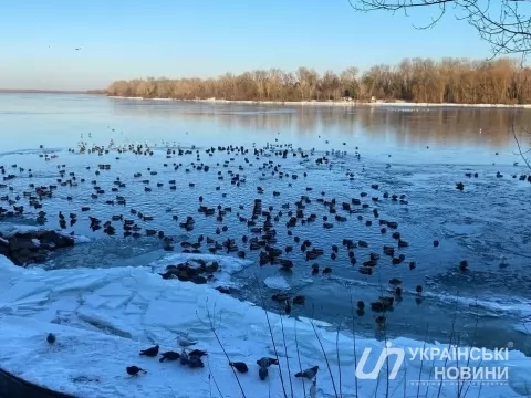 Прогноз погоды Фото: Олег Приходько