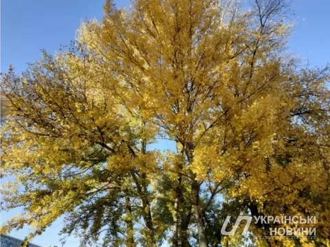 В Україні буде хмарно з проясненнями