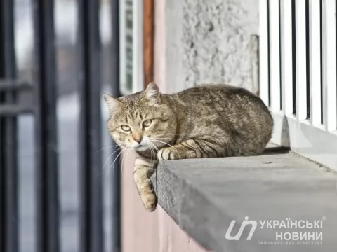 Погода в Україні. 