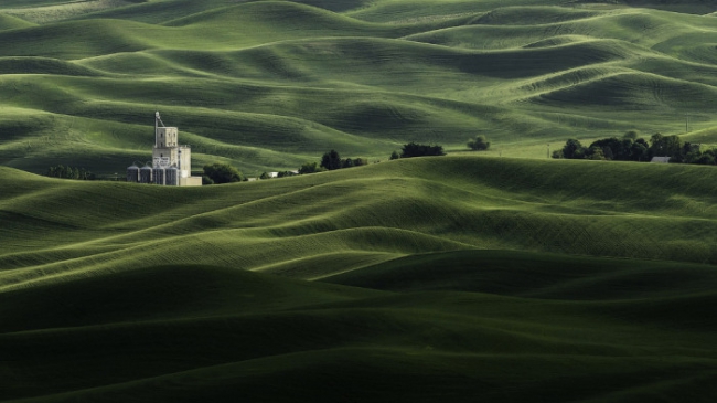 Текстуры полей в штате Вашингтон. Фотограф Хамиш Митчел (Hamish Mitchell).