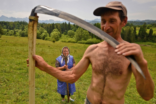 Сенокос в Польше. Фотограф Барт Черески (Bart omiej Jurecki).