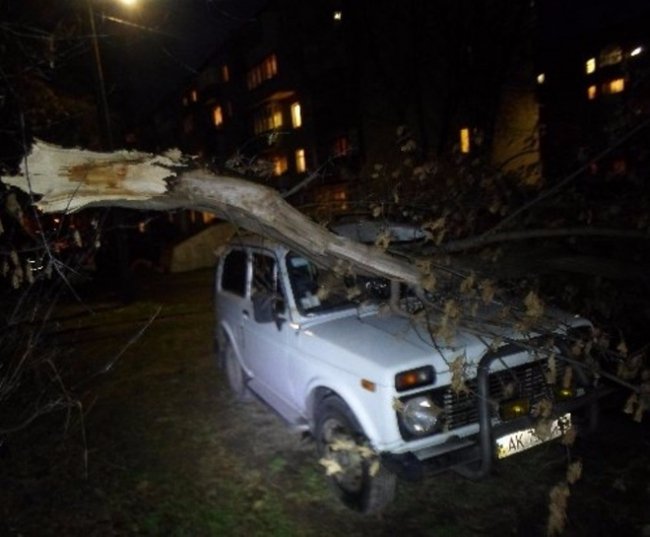 Упавшее дерево придавило авто