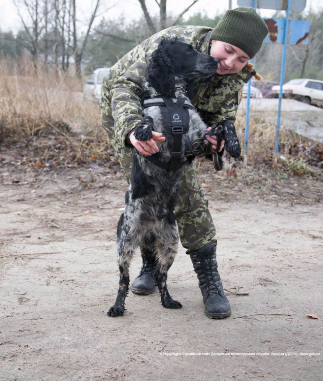 Новые бронежилеты проходят проверку
